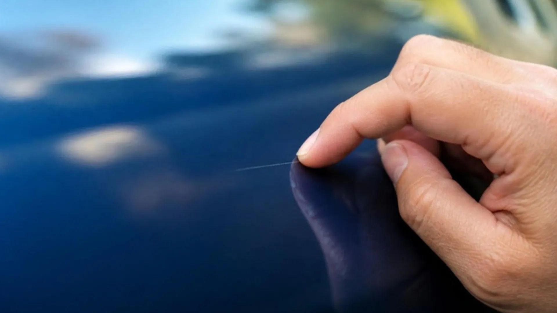 Close-up of a fingernail resting on a fine scratch in glossy dark blue car paint